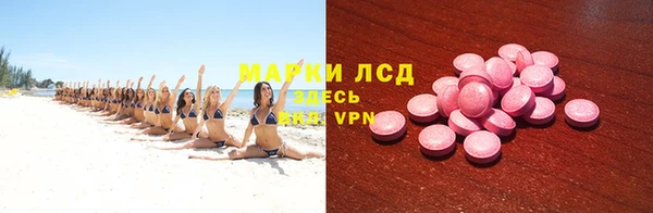 ГАЛЛЮЦИНОГЕННЫЕ ГРИБЫ Алзамай
