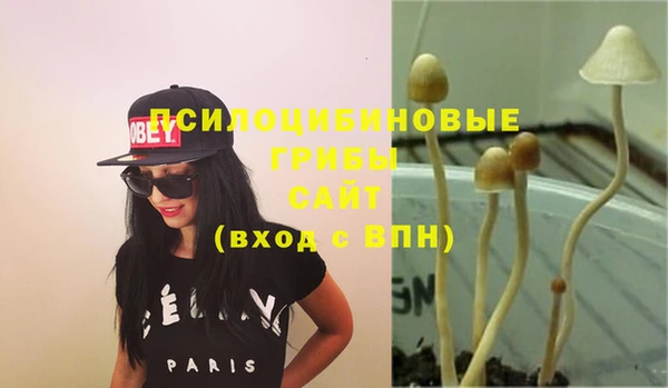 твердый Алексеевка