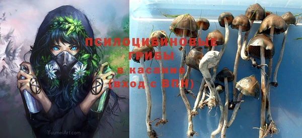 твердый Алексеевка
