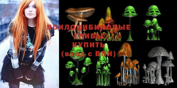 твердый Алексеевка