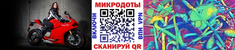 Галлюциногенные грибы Cubensis Белебей